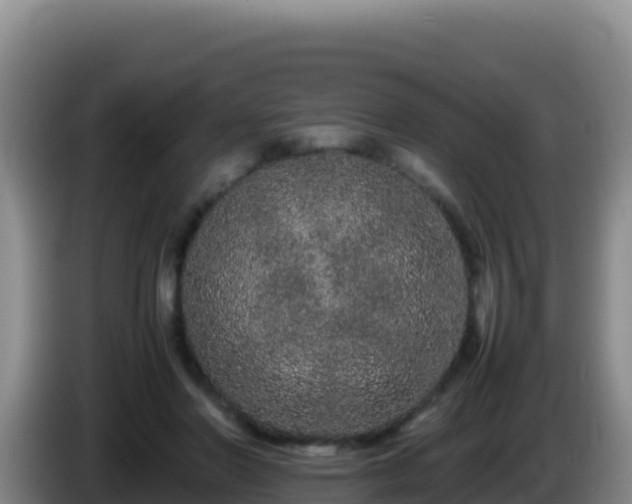 X0000086260406200704051307