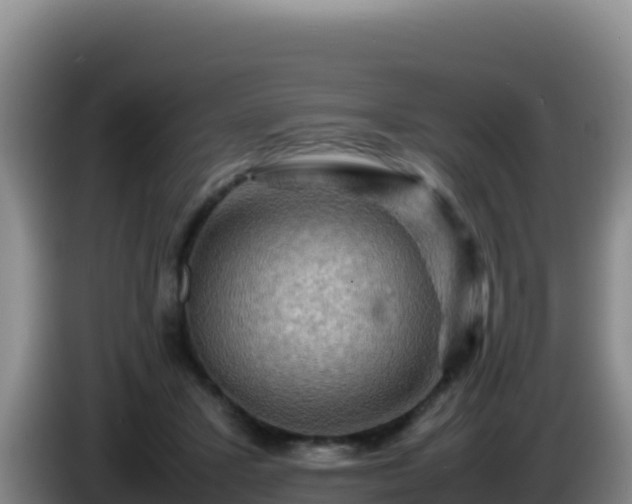 X0000086260407200704051307