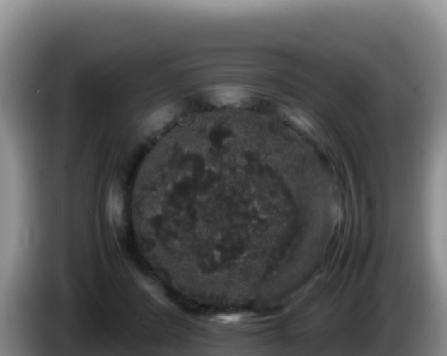 X0000086260408200704051307