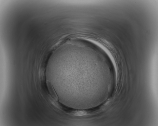 X0000086260409200704051307
