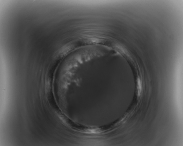 X0000086260410200704051307