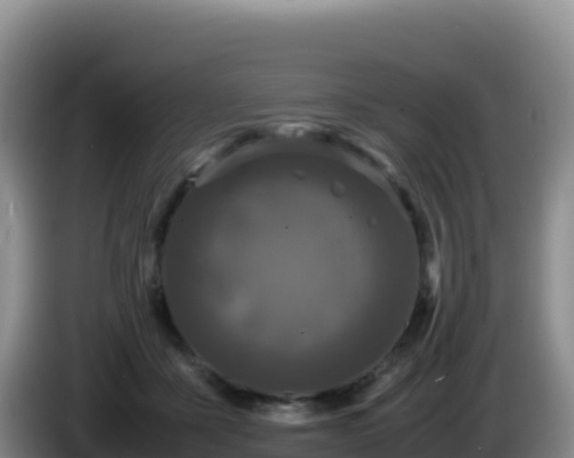 X0000086260411200704051307