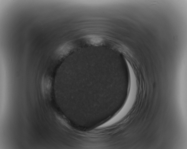 X0000086260412200704051307