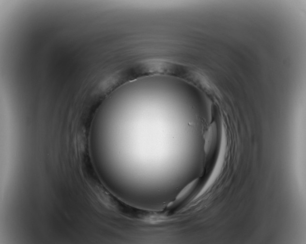 X0000086260413200704051307