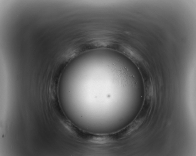 X0000086260414200704051307