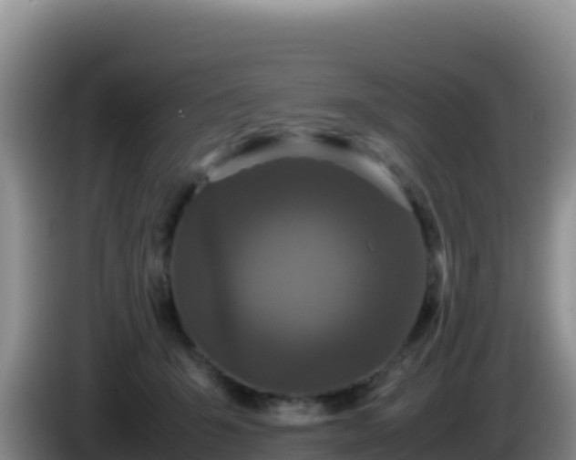 X0000086260415200704051307