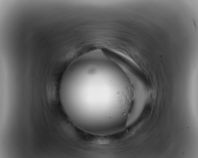 X0000086260416200704051307