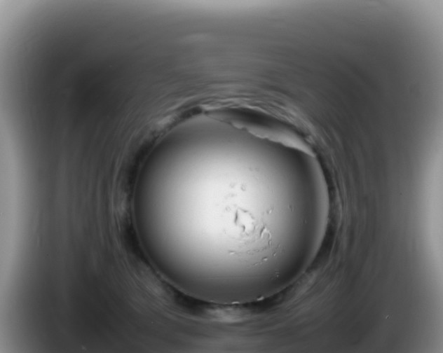 X0000086260417200704051307