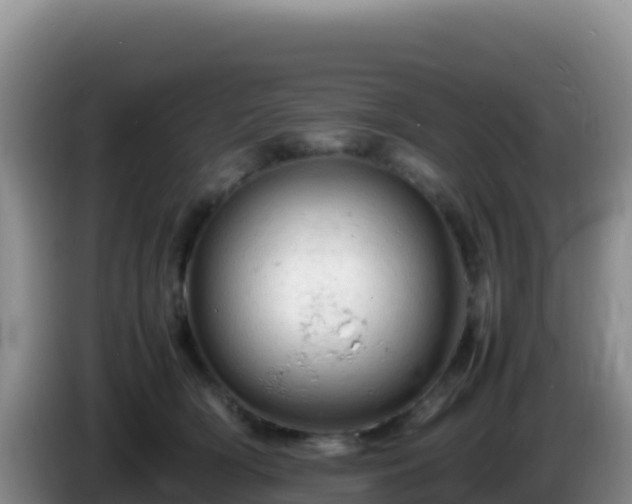 X0000086260418200704051306