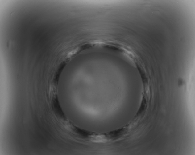 X0000086260419200704051306