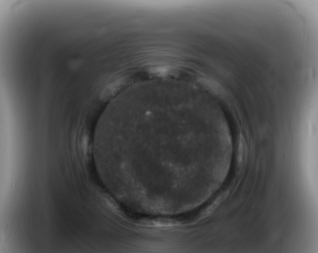 X0000086260420200704051306