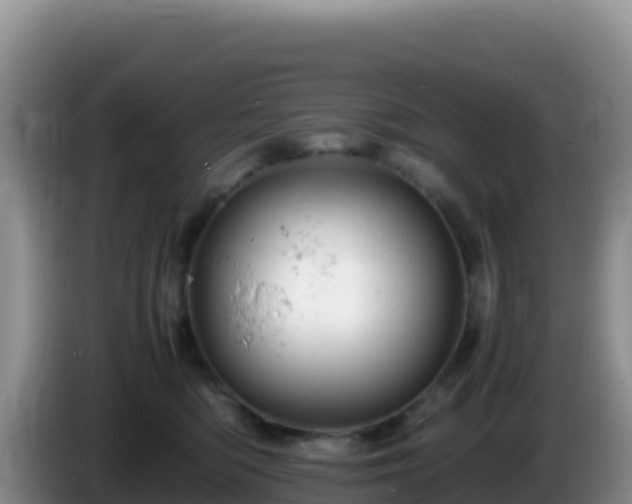 X0000086260422200704051306