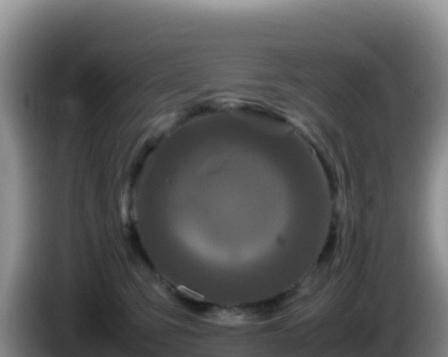 X0000086260423200704051306