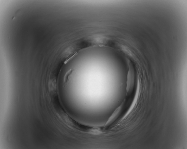 X0000086260425200704051306