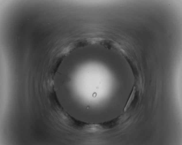 X0000086260427200704051306