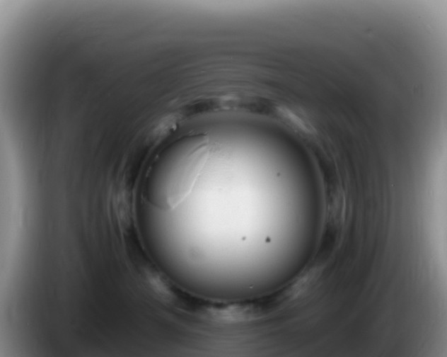 X0000086260430200704051306