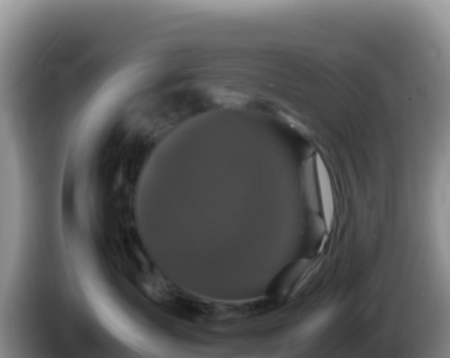 X0000086260431200704051306