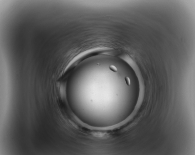 X0000086260432200704051306