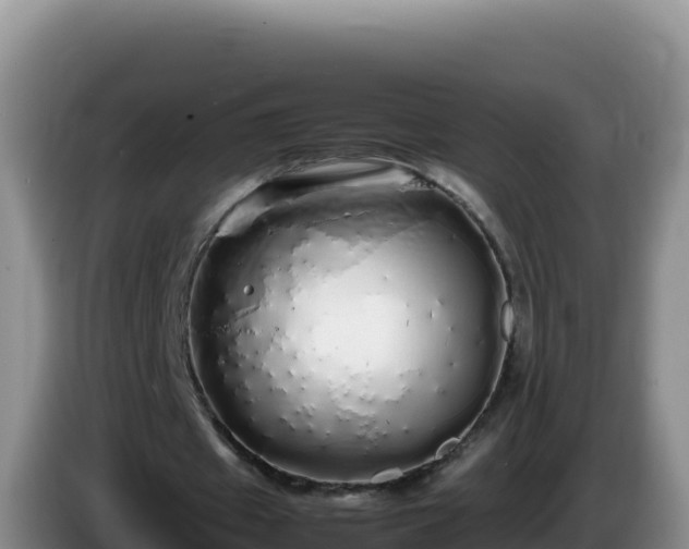 X0000086260433200704051306