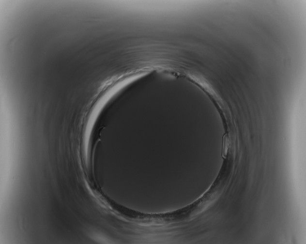 X0000086260434200704051306