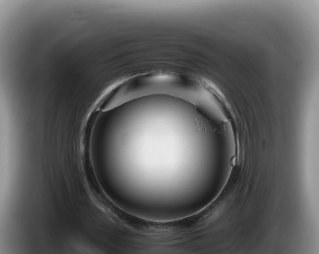 X0000086260435200704051306