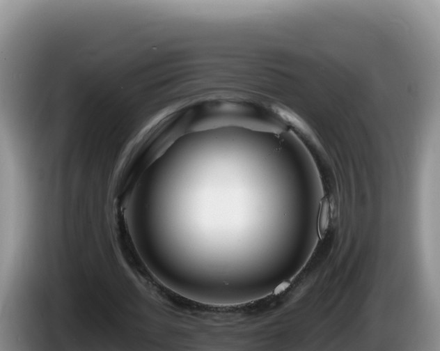 X0000086260436200704051306