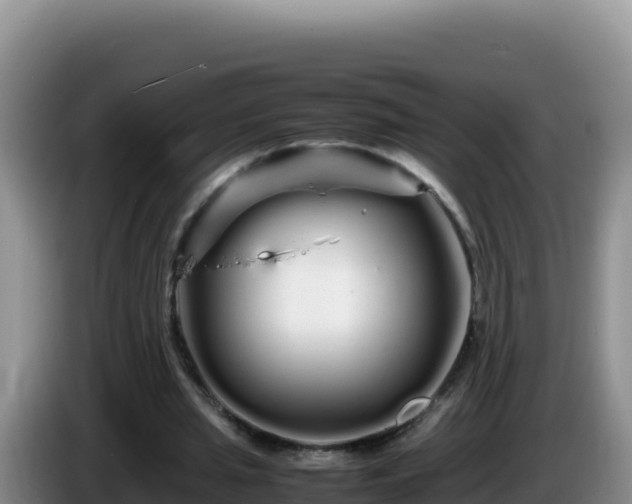 X0000086260437200704051306