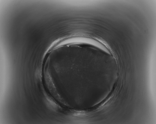X0000086260438200704051306