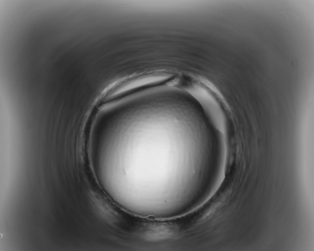 X0000086260439200704051306