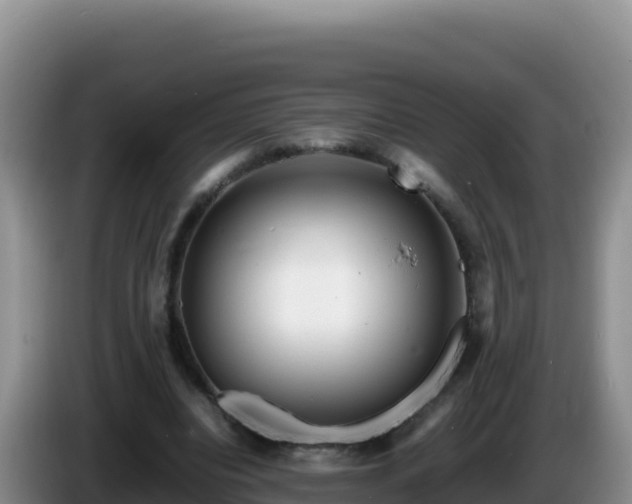 X0000086260440200704051306
