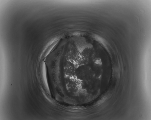 X0000086260443200704051306