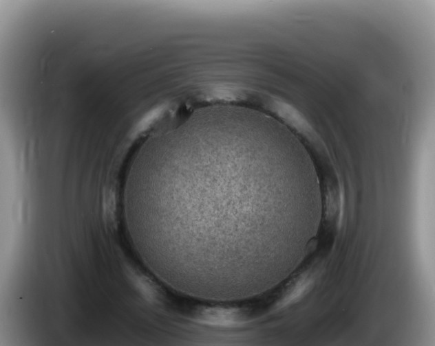 X0000086260444200704051306