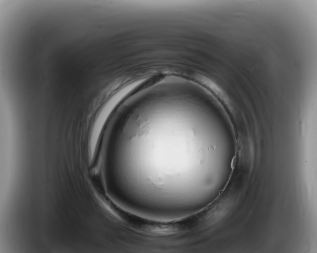X0000086260445200704051306