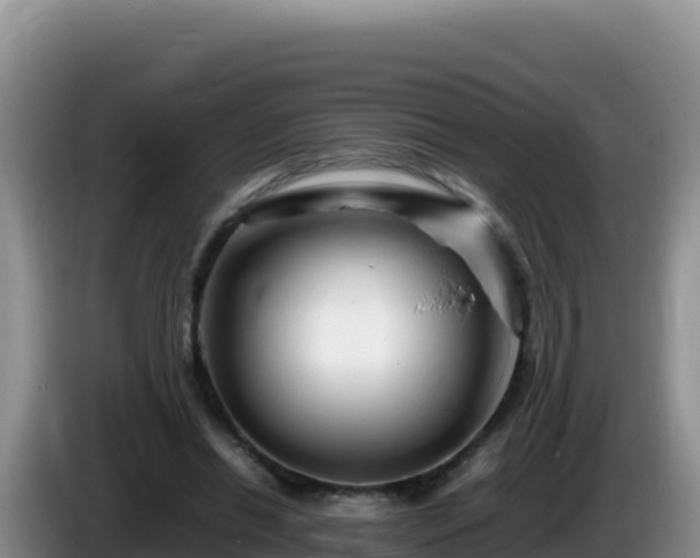 X0000086260446200704051306