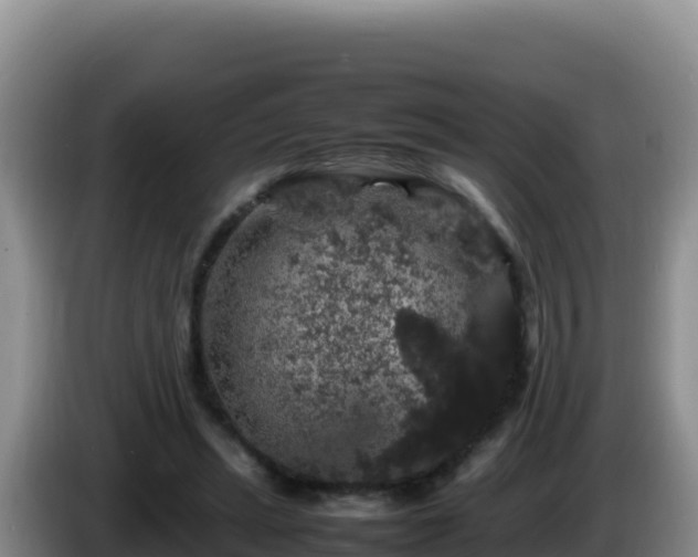 X0000086260447200704051306