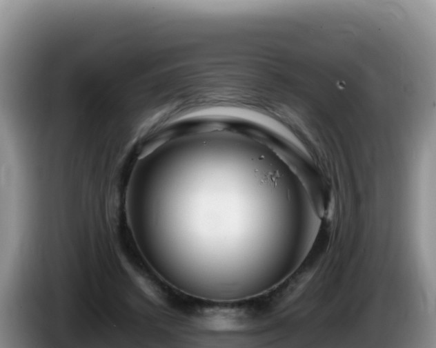 X0000086260448200704051306