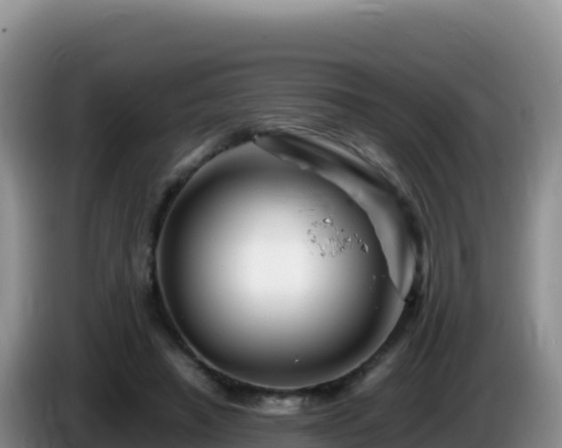 X0000086260450200704051306