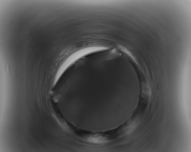 X0000086260451200704051306