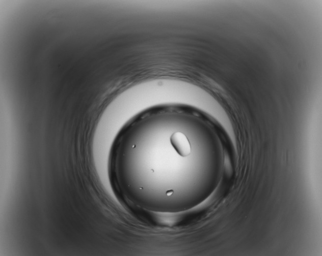 X0000086260452200704051306