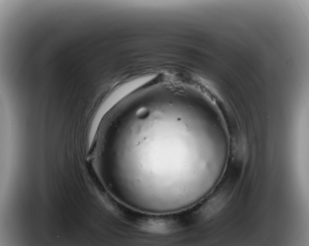 X0000086260453200704051306