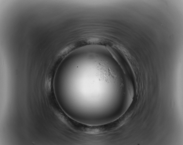 X0000086260454200704051306