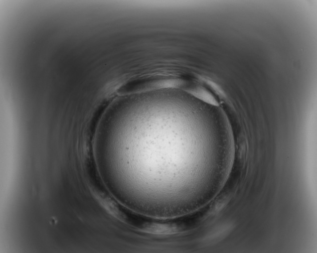X0000086260455200704051306