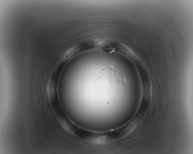 X0000086260456200704051306