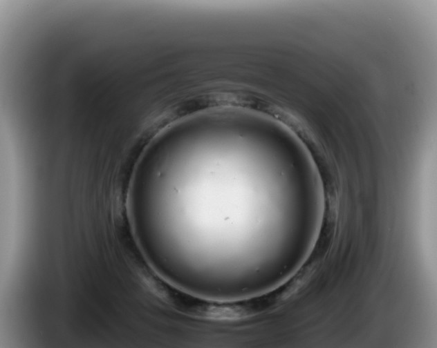 X0000086260457200704051306