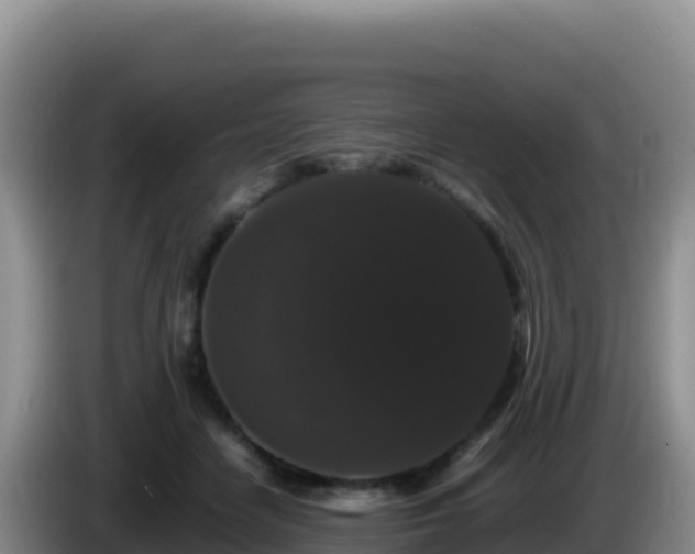 X0000086260458200704051306