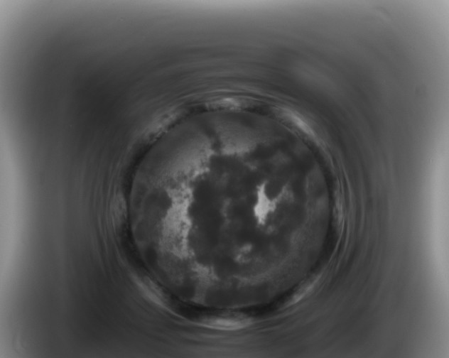 X0000086260459200704051306