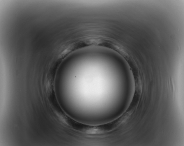 X0000086260460200704051306