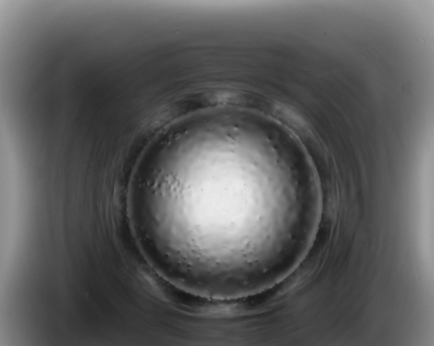 X0000086260461200704051306