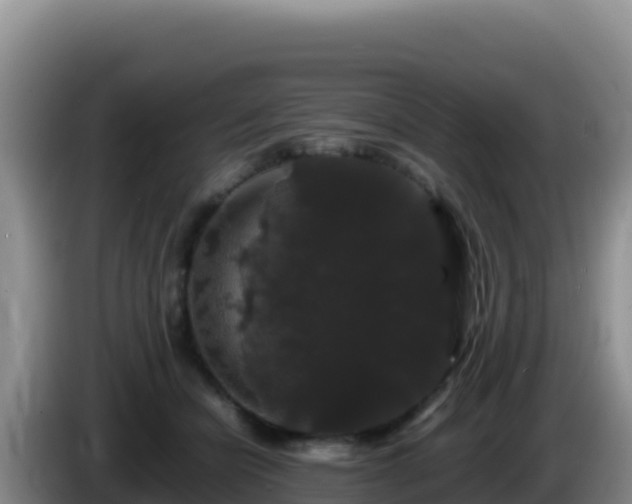 X0000086260462200704051306