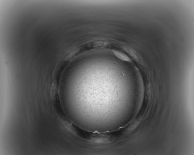 X0000086260463200704051306